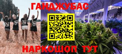 гашик Краснознаменск
