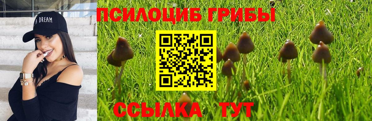 Галлюциногенные грибы мухоморы  где можно купить наркотик  Видное  Галлюциногенные грибы Psilocybe  Вход с VPN 
